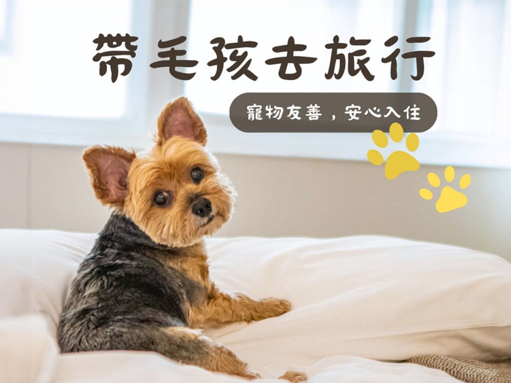 【萌寵渡假趣】歡迎毛小孩入住！專屬寵物友善住宿方案