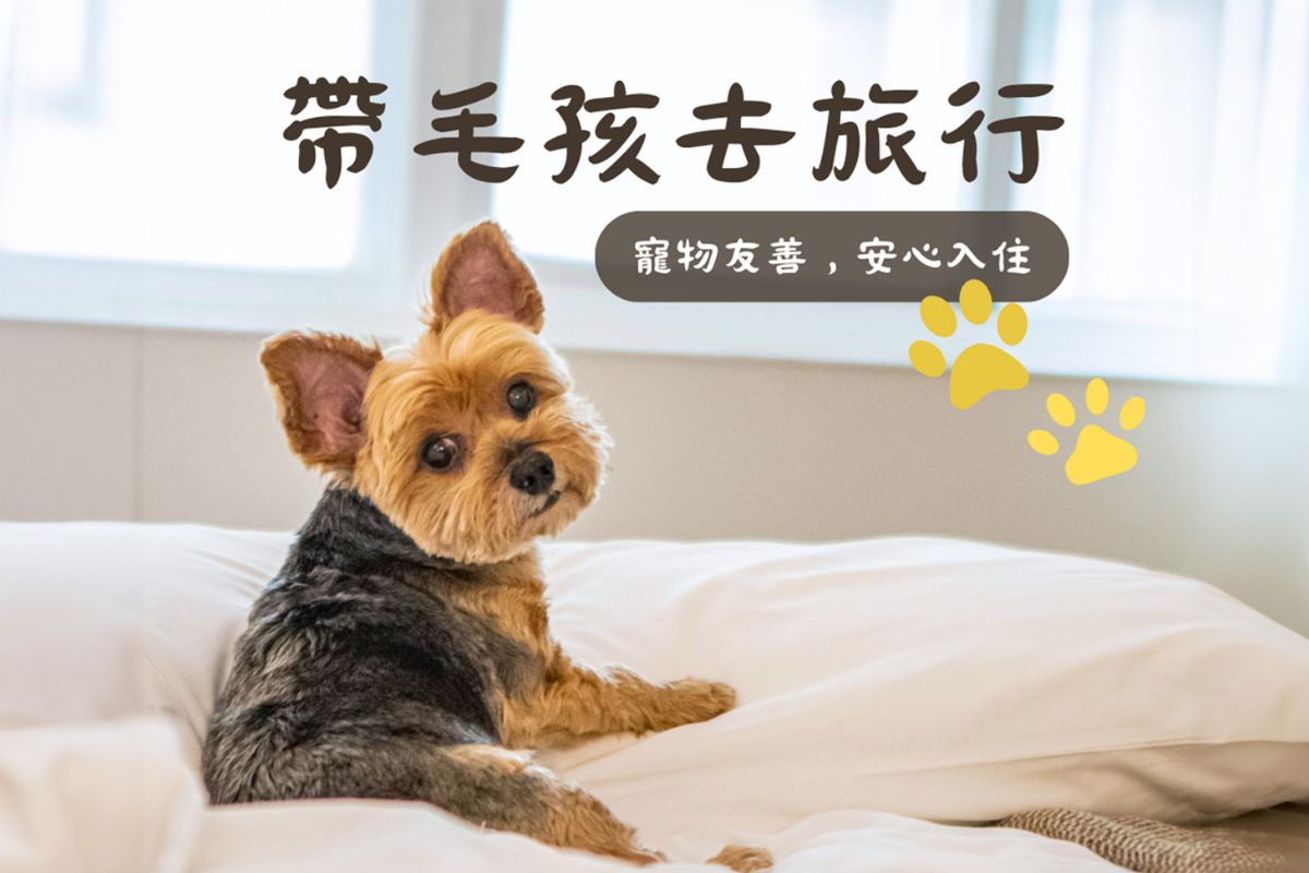 【萌寵渡假趣】歡迎毛小孩入住！專屬寵物友善住宿方案