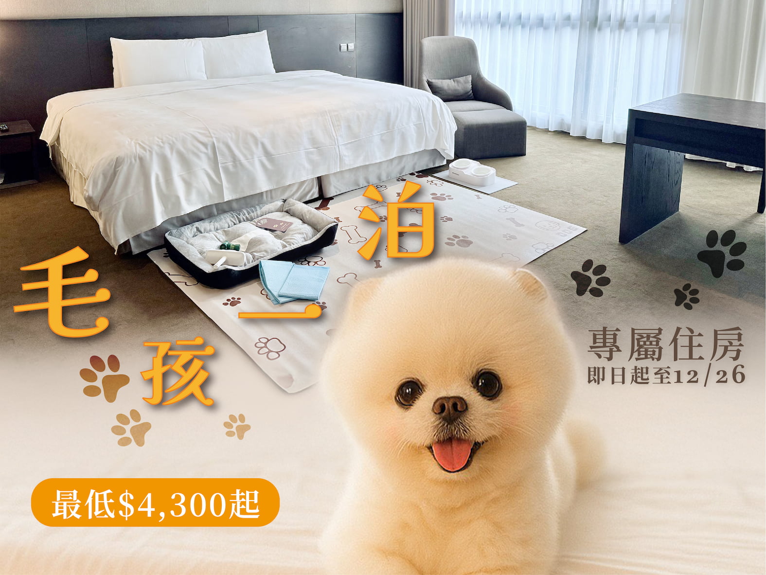 毛孩一泊專屬住房專案