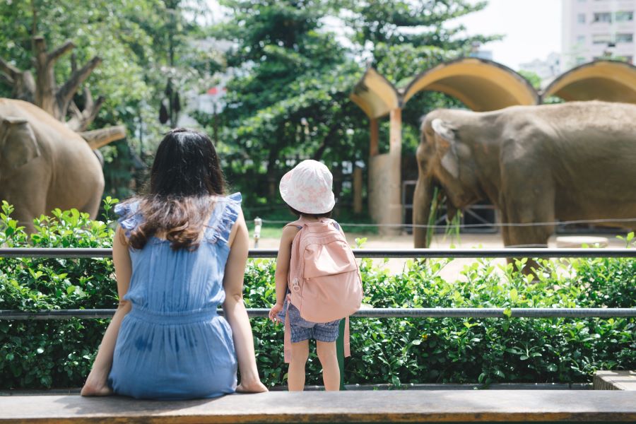 親子旅遊行程