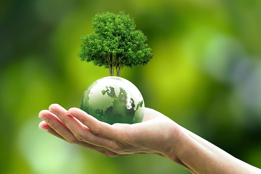 環保永續服務調整說明