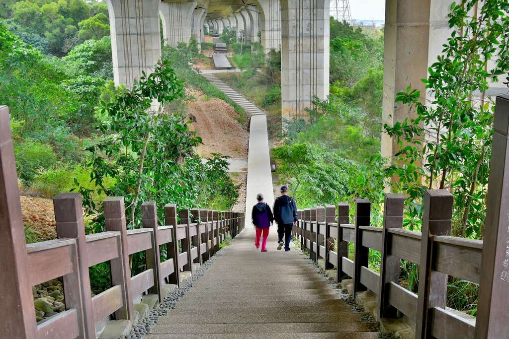 台中沙鹿休閒景觀步道階梯景色,步道穿越高架橋下方與綠意林間,適合健行、散步與欣賞自然景觀。