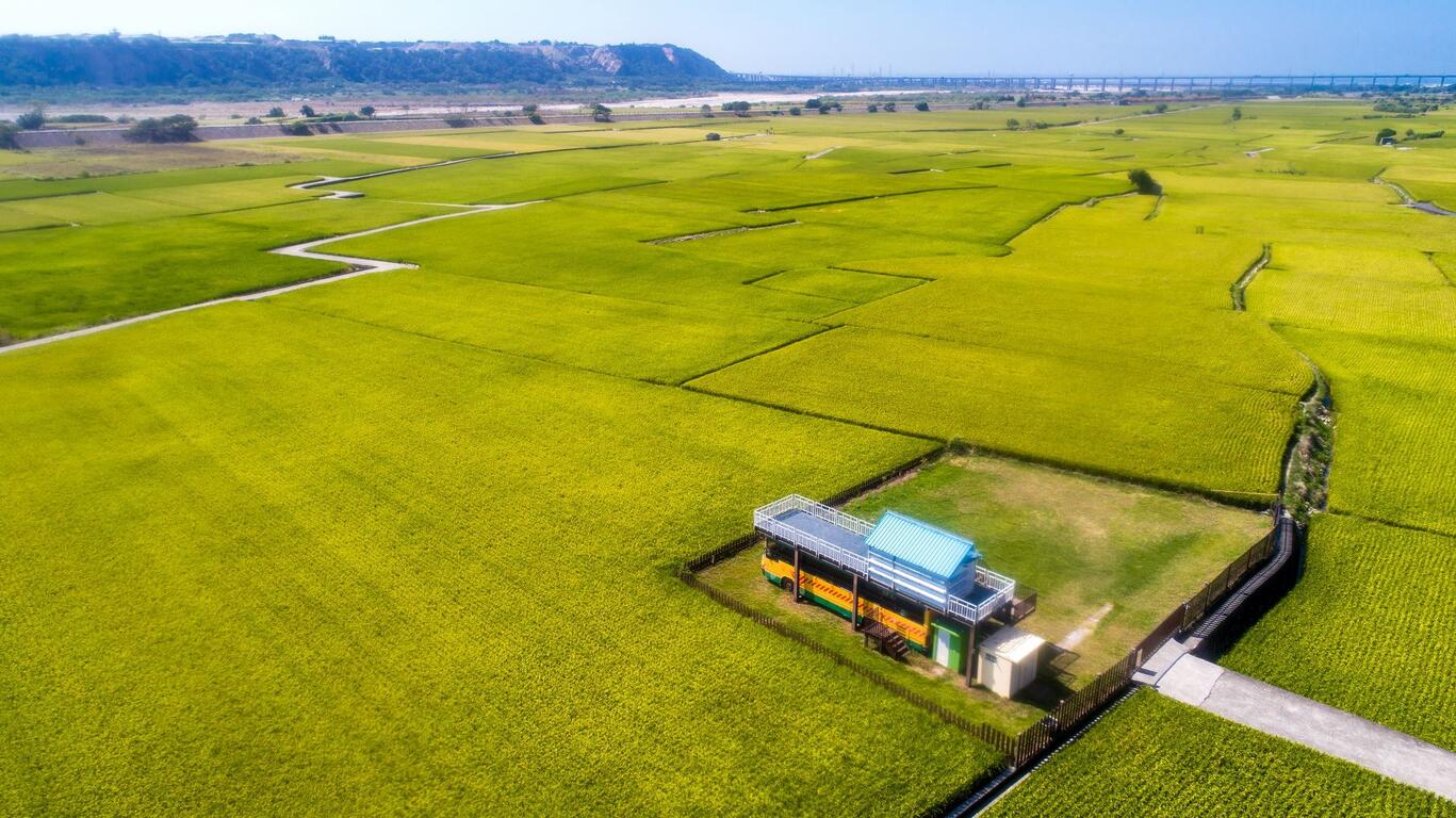 台中外埔忘憂谷空拍景色，大片綠色稻田與田間觀景平台展現海線鄉村風光。