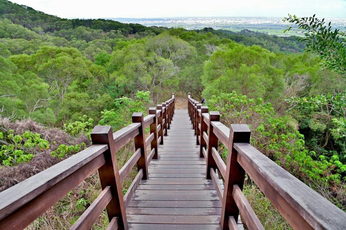 台中大肚萬里長城登山步道木棧階梯景色,步道穿越綠意山林,可遠眺市區與自然景觀。