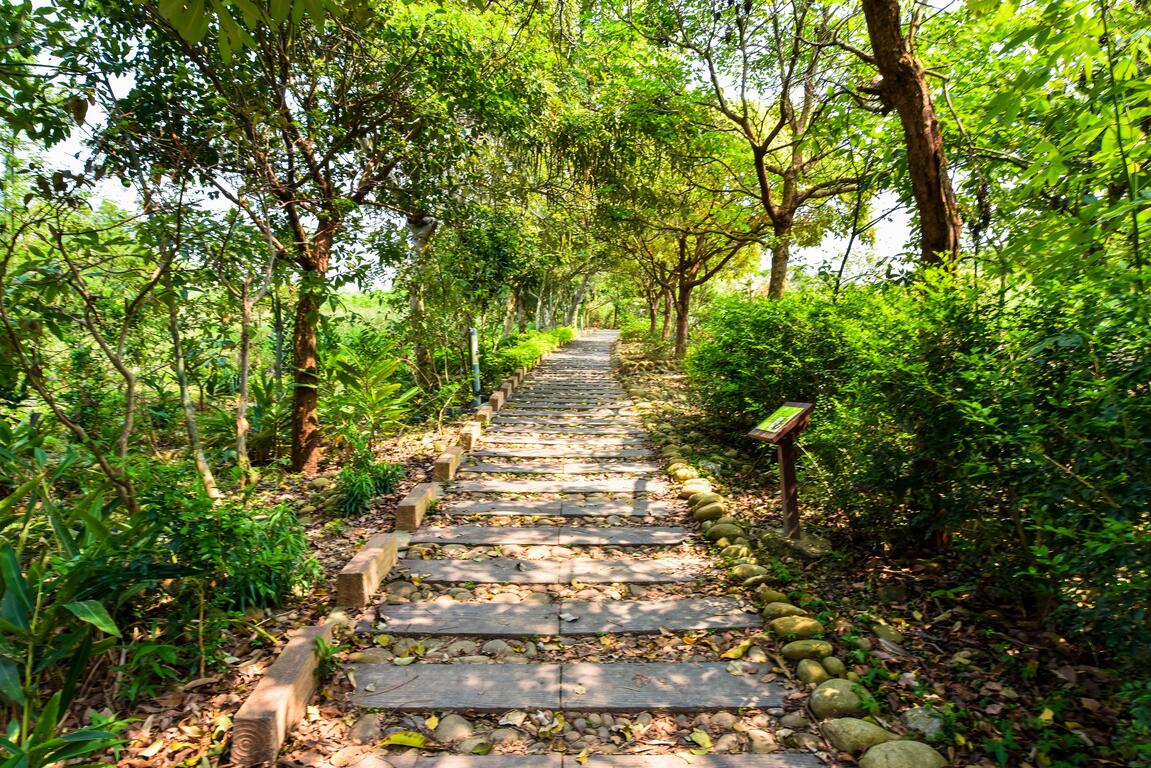 台中龍井竹坑南寮登山步道綠蔭石階景色,林木環繞、步道平緩,適合健行散步與親近自然。