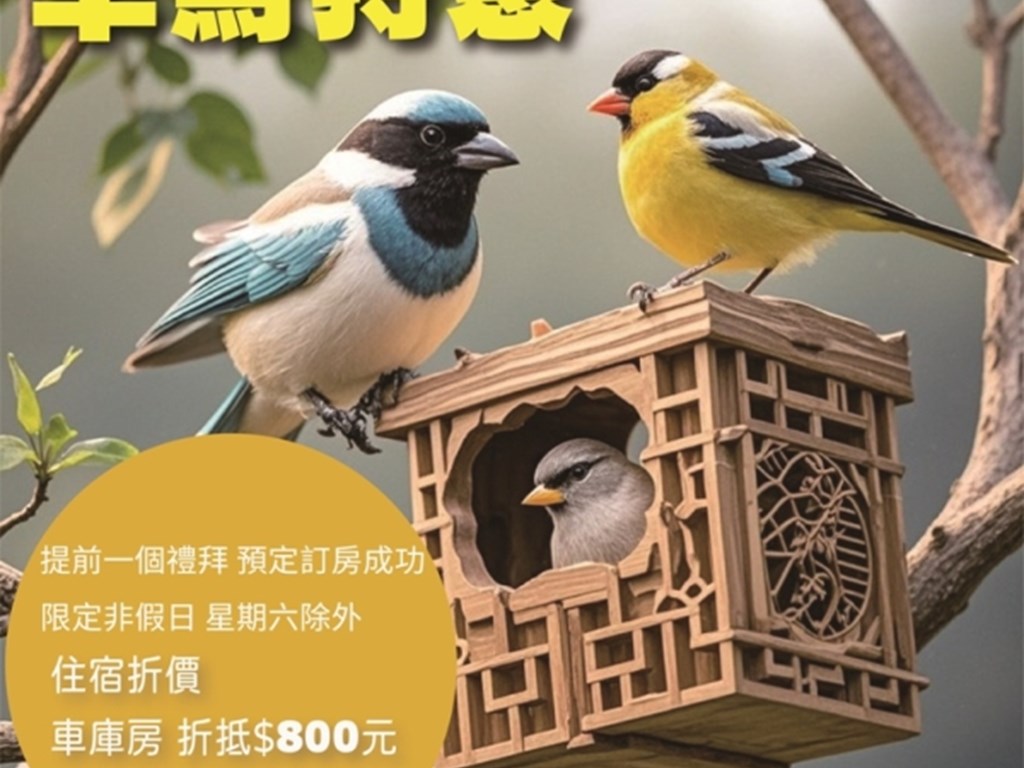週年慶特惠【早鳥專案】