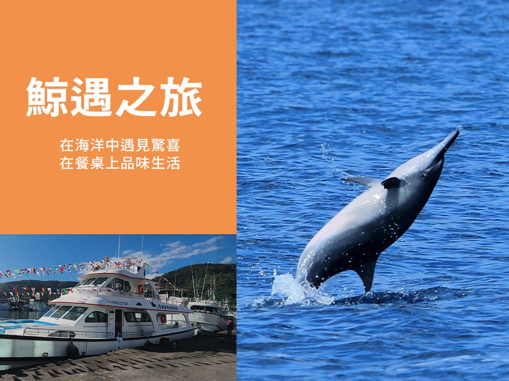 花蓮賞鯨、Kadda美食 ~雙『饗』價，每人只要$999