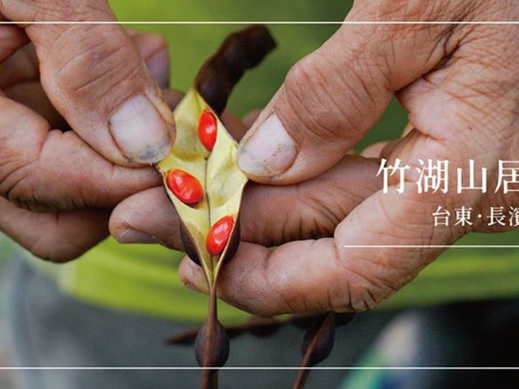 媒體報導