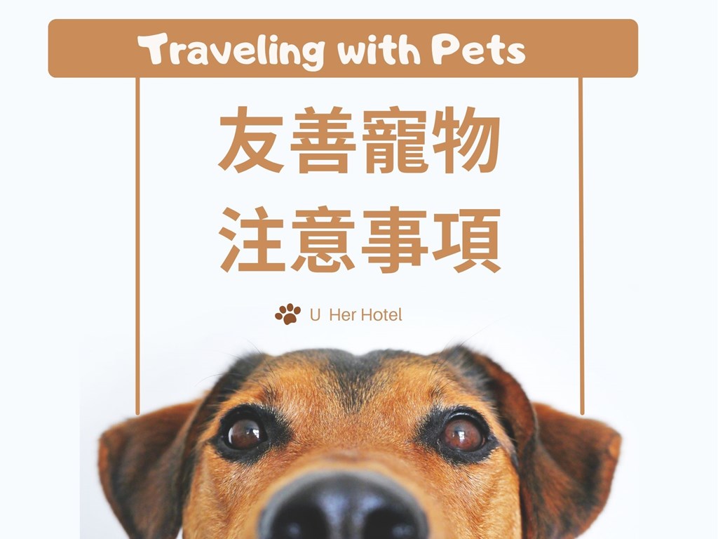 友善寵物注意事項